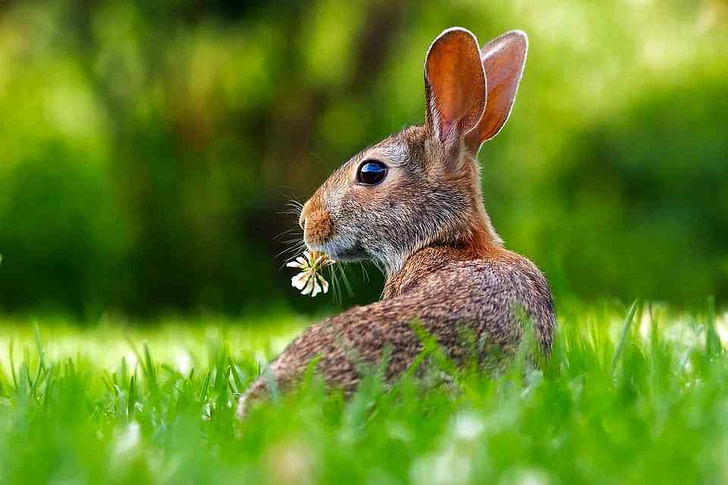Frohe Ostern 1 Frohe Ostern und schöne Ostertage wünscht AVENTIN.de