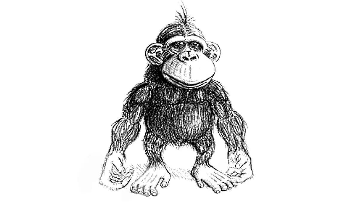 Affe Große Hände Füße Augen Maul wenig Hirn · AVENTIN Storys