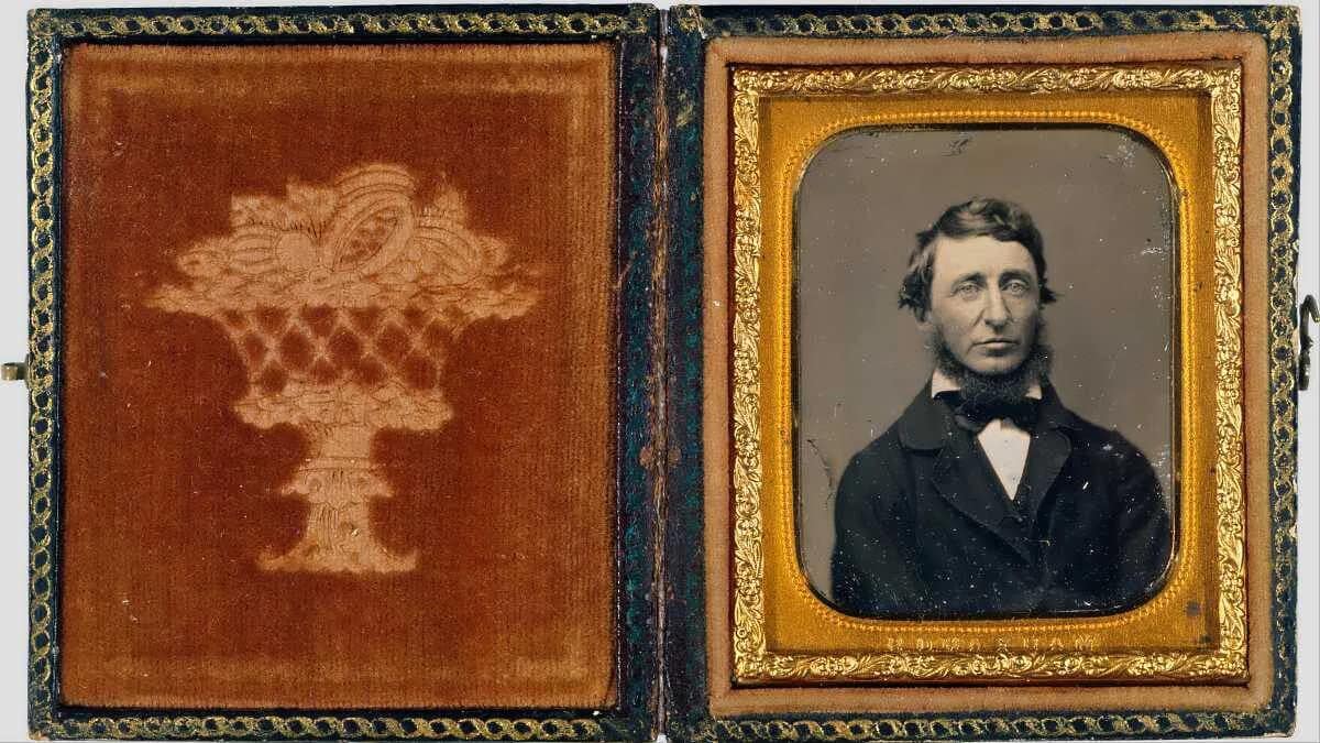 henry david thoreau schriftsteller fabrikant lehrer schulleiter philosoph amerika 25